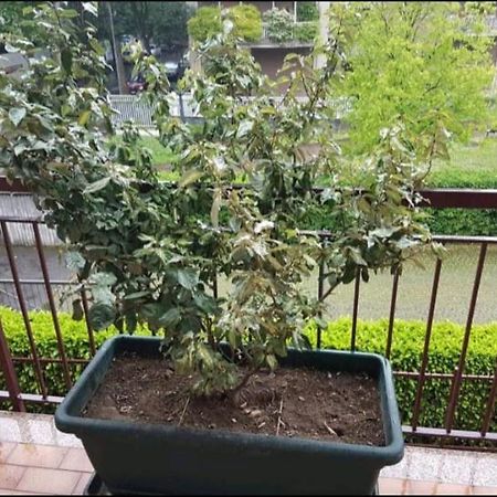 Bergamo & Dintorni Hotel Luaran gambar